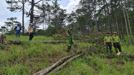 Lâm Đồng kràñ cê lơh glài kơnòl broă tŭ lời gơlik jơnau mus kơl brê