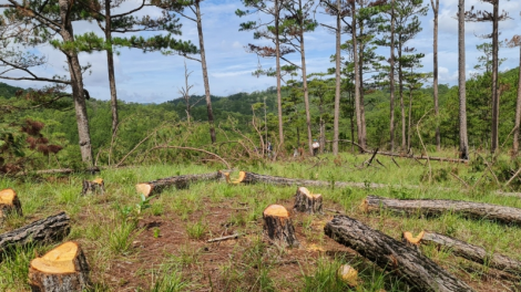 Dà Làc ngui măi mok pa nàng atbồ, sền gàr brê