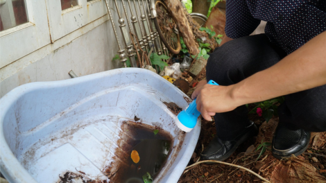Dăk Lăk: Cau dơ̆ 3 chơt tài bơh kòp sốt xuất huyết