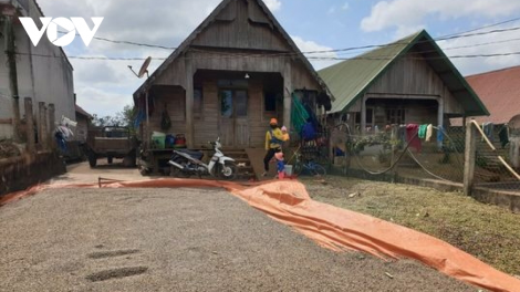 Lơh broă sa Tây Nguyên nam 2021- tềl kah “tơmàn dolar” ờ bơta kwơ bơh lơh bal dê