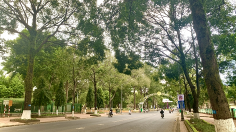 Buôn Ma Thuột: Ƀòn dờng chi tơlir