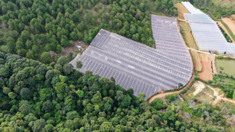 Lâm Đồng: Lơyài tă sờr git nđờ rhiang lồ hìu krơh geh lơh tìs mờ adat boh lam tàm ù brê