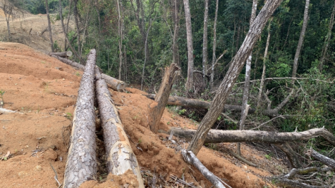 Cò tơnring tìs mờ adat boh lam brê dà lơgar nàng lơh gùng: Bơta ha pah dờng ngan ai mus kơl brê in