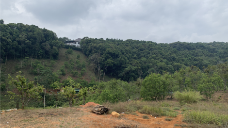 Gơguh khà priă ù lơh gơguh broă mus brê tàm Tây Nguyên