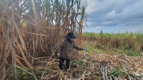 Càr Gia Lai lơh pas bơh tờm tàu tàm tiah prang H’Bông