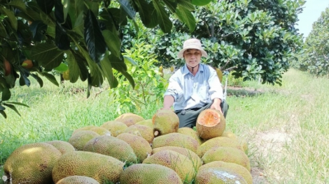 Lơh broă sa sươn sre kung gam sơl là jrong dra nàng bơtàu tơnguh wơl mờ gơguh lơh sa