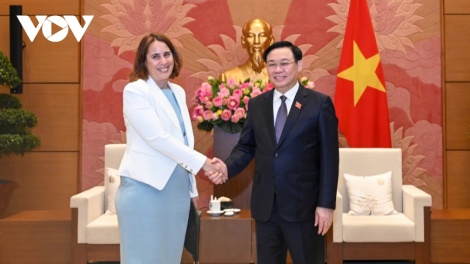 Củ tịc Quốk hội ồng Vương Đình Huệ wă Đại sứ lơgar New Zealand