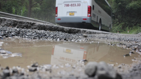 Càr Lâm Đồng mhar lơh niam wơl gơl gùng koèl kơh Mimosa gơtìp tơrlah uă