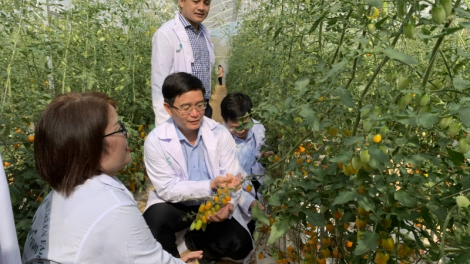 Gah lơh sa suơn sre càr Dăk Lăk lơh ngan tam gơl sồ nàng tơrgùm bal lơh sa