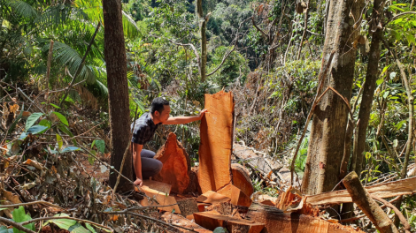 Kon Tum sơrbac mhar lùp khàu dơ̆ mus kơl brê tàm thị trấn Măng Đen