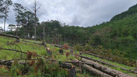 Gĭt nđờ rhiang tờm nho tàm brê rơcăng gàr bồ tô dà Dà Làc dê gơtìp bol blơ̆ mus kơl jơh