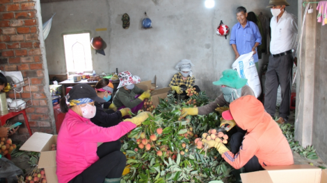 Dăk Lăk lơh jăt broă lơh bal ală anih tơnguh uă bơta kwơ phan lơh geh bơh suơn sre