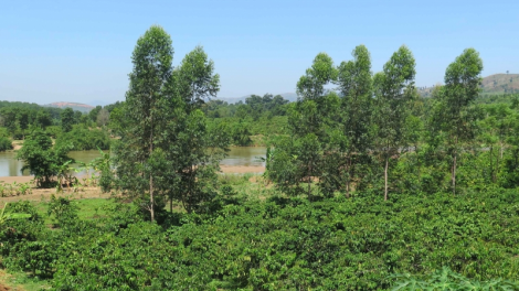 Sở Kông thương càr Kon Tum geh jơnau sồr “dŭt ndơl” gơwèt mờ hìu măy pờ tơlik ồs đèng Đăk Psi 5