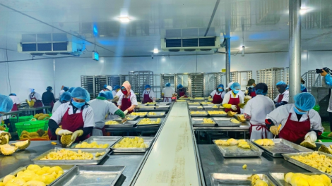 Việt Nam lơh jăt ai sầu riêng tăc hờ lơgar ndai