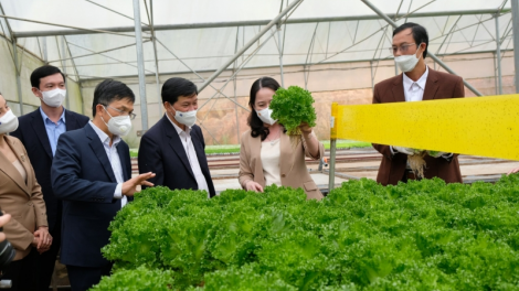 Lâm Đồng: Mờr 400 lồ ù lơh sa suơn sre jat gùng dà ngăc ngar