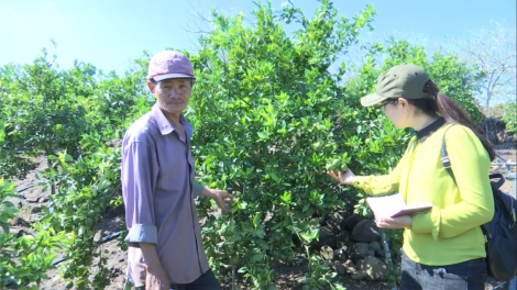 Gialai: Tam gơl tam chi sa plai, làng bol lơh broă sa geh priă cồng git nđờ rhiang tơlak priă tàm dùl nam