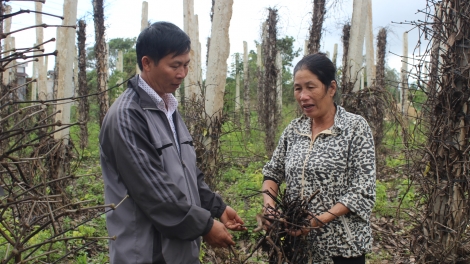 Trồ tiah tam gơl nisơna – Làng bol lơh broă sa kal ke