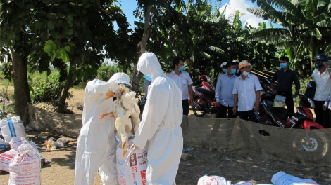 Dak Lak: Njrăng na nê| đah nuh srê kik djăr