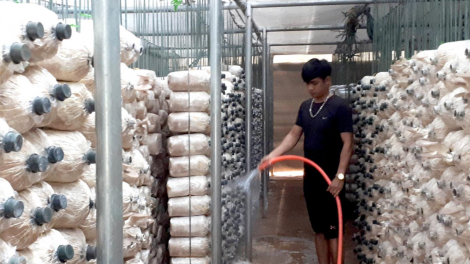 Dak Lak: ns^t geh nău tam bah tơm prăk manh ntop kơl druh ndăm ntơm njêng nău kan