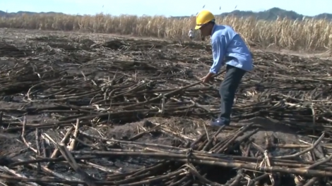 Gia Lai: U|nh sa tao, nhih máy mbrơi rvăt, [on lan roh hoach âk