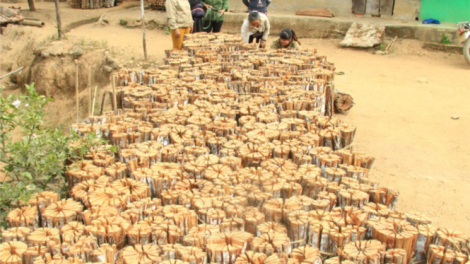 Long nkol ndrôi- Drăp ndơ kuăt ndrôi bah ăp bu ur druh Jeh Triêng