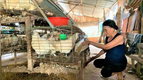 Mât rong tâm nkual [on têh Buôn Ma Thuột [ư n’hôl djơh ntu\k gu\ rêh