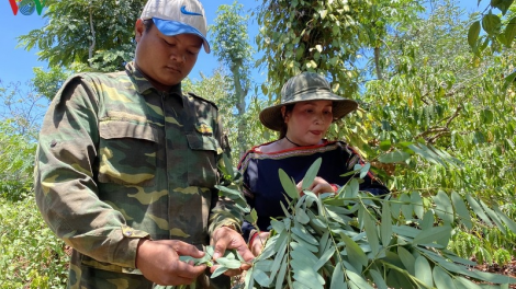 Tu sa ntoh lư – n’hu tơm joăr