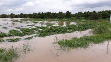 Rdâk njêng nkual [on lan mhe ta nkuăl n’har bri Ea Sup (Dak Lak): {on lan tâm ban u\ch, yơn jêr ma dơi [ư.