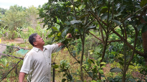 Tahen ơm Phạm Đức Triển-Nu\ih ntoh ang tâm nau rêh