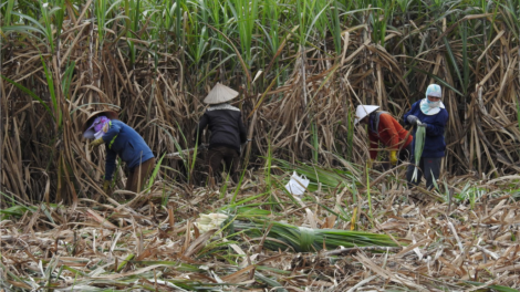 Ăp nău rhơn bâh ntu\k tăm tao [ư s^k ta Daklak