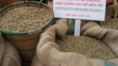 Nău kan cà phê Tây Nguyên klach rvê yor srê Covid-19.