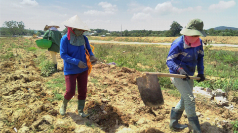 Kontum: tơm bum blang ntil mô to\ng .