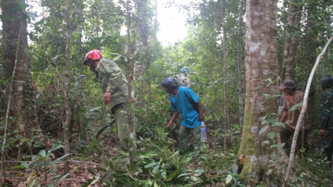 Ăp ntu\k ang bri mât nsum ta Đăk Glei