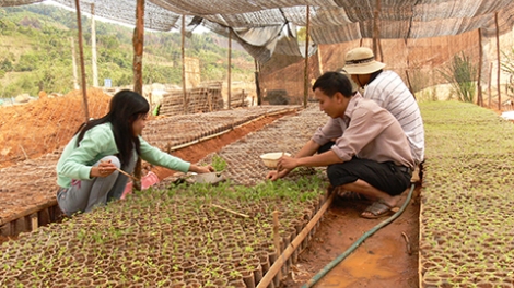 Kon Tum hun hao tơm dak si jêng n’gâng kan wa\ng sa khlay