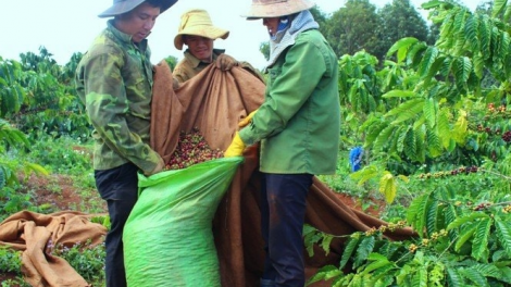 Nu^h [on lan Gia Lai jêr jo\t yor âk ntil ndơ lo\ mir mô săk geh, rnoh thuk