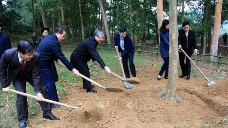 Wa Trần Quốc Vượng râng lễ rgo\ jă “Tết tăm si năm mhe Canh Tý 2020” ta Tuyên Quang
