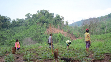 Paz huôv tsar uô xênhz yar chiê thiv pluôs truôx đrênhk nta suôz hnuz 23-9-2016