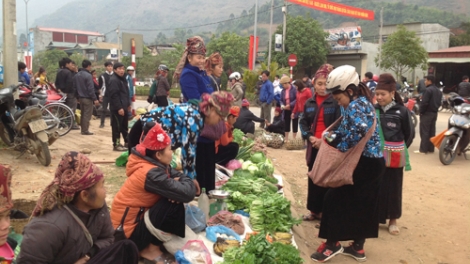 Tsaz yênhx nta suôz luk Hmôngz hnuz 5-3-2016