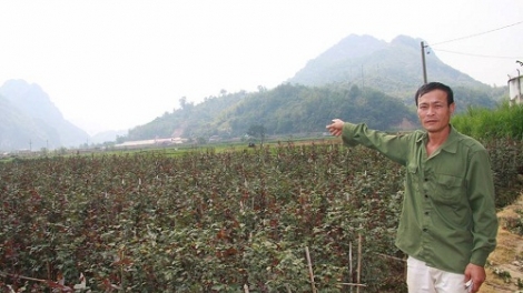 HĐ tỉnh Sơn La tso tơưv Nghị quyết lok tsênhv chei paz txưv huôv tsar hợp tác xã chos ntông nox txir, yuôx đrox njuôz hâur têx xuz ntông sâuv thax tsav tỉnh, ntu 2017-2021 nta suôz hnuz 12-5-2017