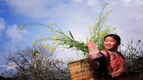 Xor xưv faz baz hnuz 19-01-2018