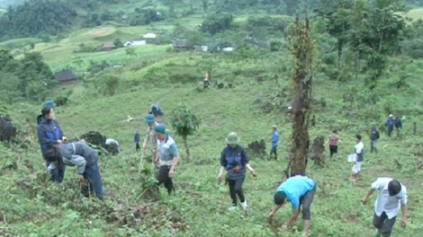 Xor xưv faz Bắc hnuz 3-5-2018