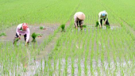 Xor xưv faz Bắc hnuz 29-3-2018