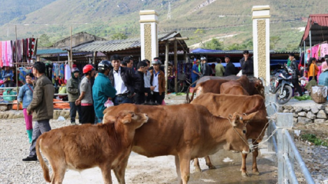 Tsaz yênhx nta suôz luk Hmôngz hnuz 22-6-2019