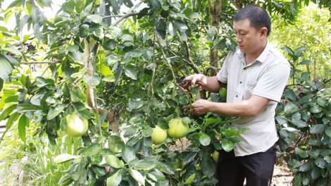 Nênhs gruôs uô tâu hâux lưv jông hnuz 12-9-2019