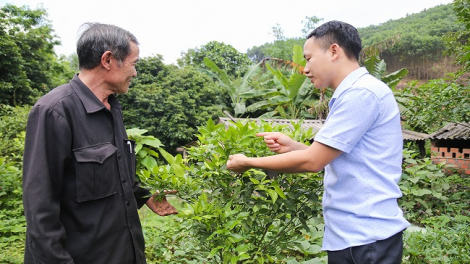 Nênhs gruôs uô tâu hâux lưv jông hnuz 23-5-2019