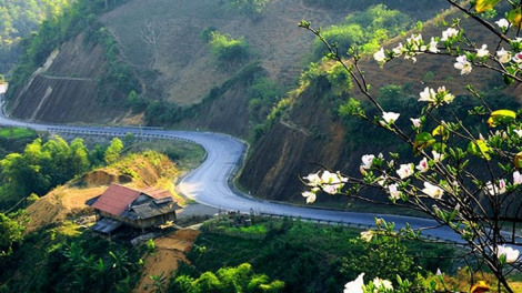 Xor xưv faz Baz hnuz 18-10-2019