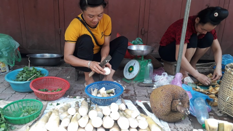 Tuôx trâu Sơn La chiê nox siv njuôs kaz jiz nta suôz hnuz 27-7-2019