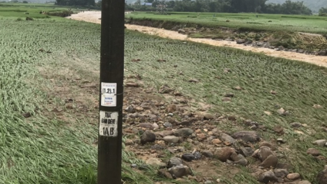 Xor xưv faz Baz hnuz 13.9.2022