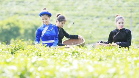 CHƯƠNG TRÌNH KHAY HENG TIỂNG TÀY - NÙNG (Chủ Nhật, Vằn 18/9/2022)