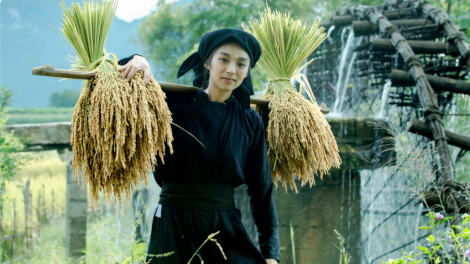 CO CHẢ DÀU SLÈO NOỌNG